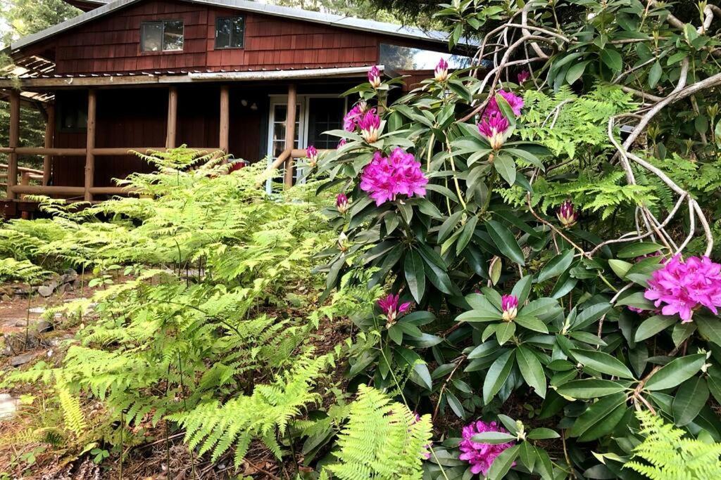 The Cabin In Packwood Kültér fotó